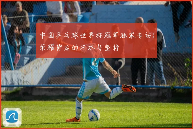中国乒乓球世界杯冠军独家专访:荣耀背后的汗水与坚持