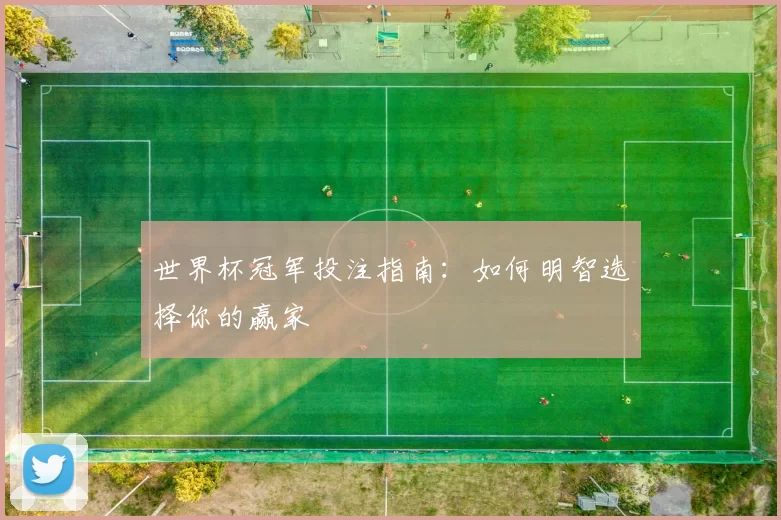 世界杯冠军投注指南：如何明智选择你的赢家