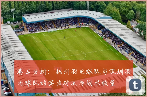 赛后分析:杭州羽毛球队与深圳羽毛球队的实力对决与战术较量