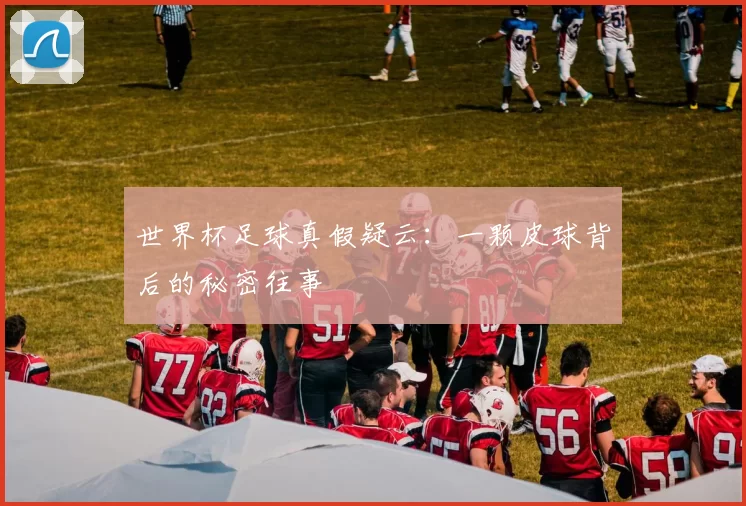 世界杯足球真假疑云:一颗皮球背后的秘密往事
