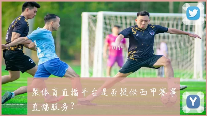 聚体育直播平台是否提供西甲赛事直播服务?