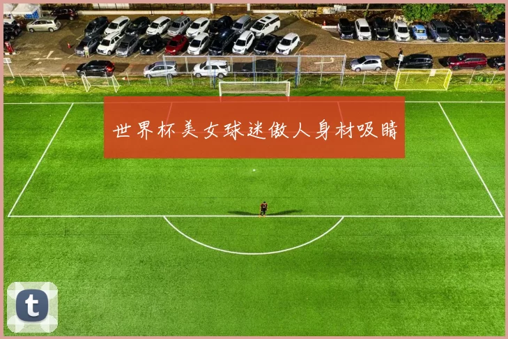 世界杯美女球迷傲人身材吸睛