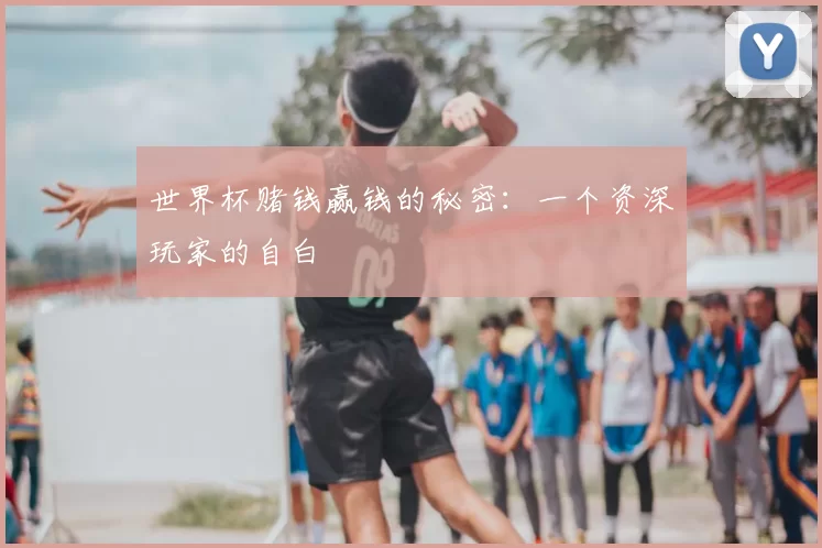 世界杯赌钱赢钱的秘密:一个资深玩家的自白