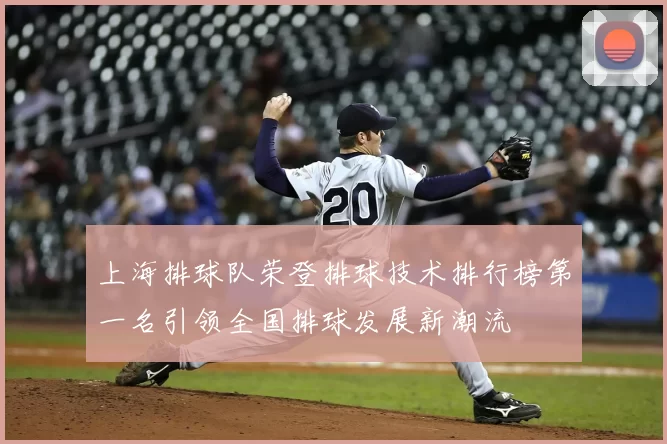 上海排球队荣登排球技术排行榜第一名引领全国排球发展新潮流