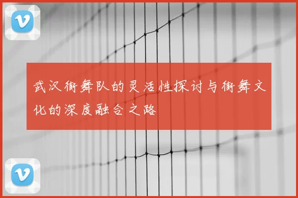 武汉街舞队的灵活性探讨与街舞文化的深度融合之路