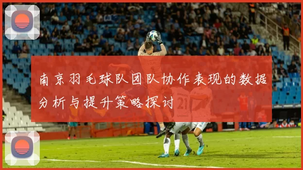 南京羽毛球队团队协作表现的数据分析与提升策略探讨