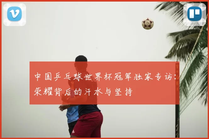 中国乒乓球世界杯冠军独家专访:荣耀背后的汗水与坚持