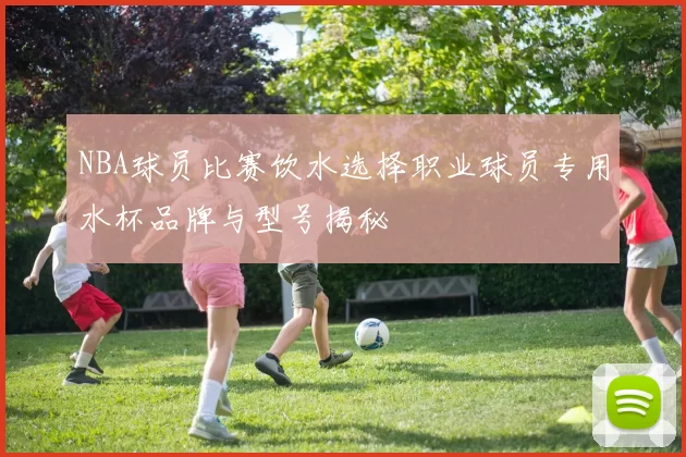 NBA球员比赛饮水选择职业球员专用水杯品牌与型号揭秘