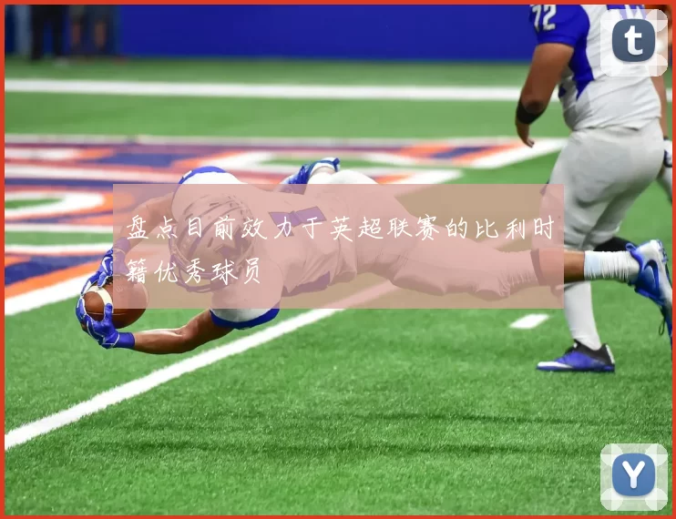 盘点目前效力于英超联赛的比利时籍优秀球员