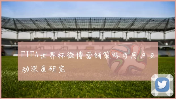 FIFA世界杯微博营销策略与用户互动深度研究
