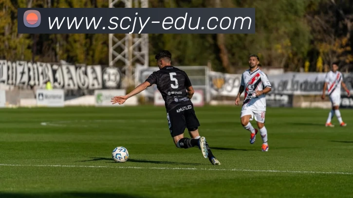 华体会体育平台生态图