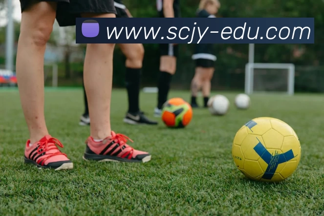 华体会体育全站App